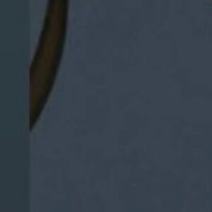 Meet your Posher, Nunu